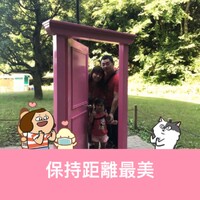 uhugem.png?1775826450