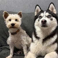 vxmdzl.png?1776088945