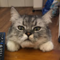 kkmjkm.png?1777344274