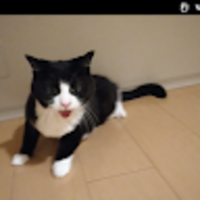 emilbc.png?1777973052