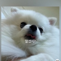 tvsrgs.png?1778084225