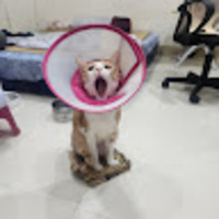 hqxfky.png?1780558404