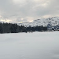 mstcmv.png?1780829150