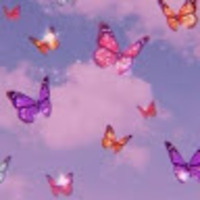 zhioxp.png?1781605185
