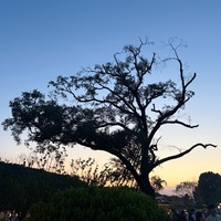 qxqybc.png?1781609375