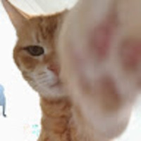 zdalha.png?1783237632