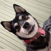 dohfvh.png?1785604201