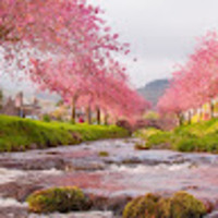 cqncss.png?1784801138