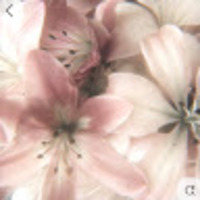 igvujf.png?1784845808