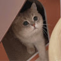 qsnvqi.png?1785403390