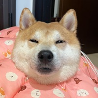 hszbwz.png?1786453623