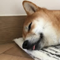 vfripo.png?1787318746