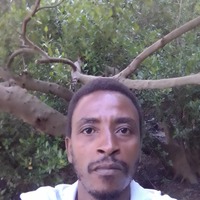 beajva.png?1788002577