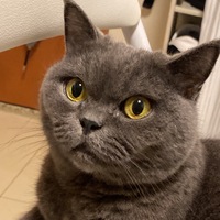 jpgdiw.png?1788594055