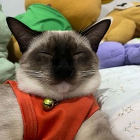 mykbav.png?1789310771