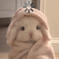 qrndht.png?1791473934