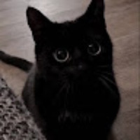 vmkqad.png?1789695724