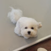 ebgwau.png?1790085227