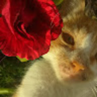 fbxqam.png?1790708355